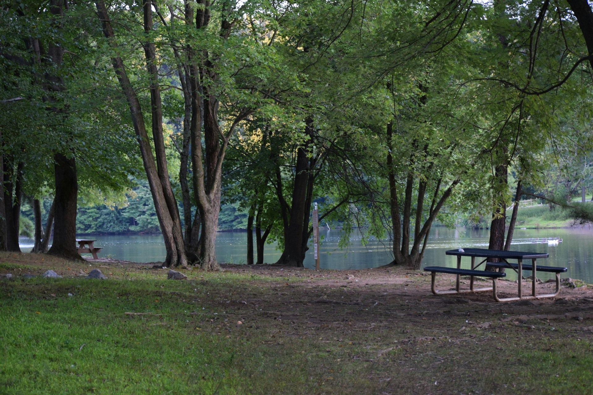 a picnic table in a park next to a lake spectrautonomie.be